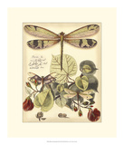 Whimsical Dragonflies II Posters