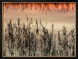 Views of Andalusia, Spain Framed Photographic Print by Felipe Rodriguez