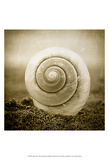 Cochlear III Prints by Ryan Hartson-Weddle