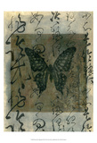 Butterfly Calligraphy III Prints by Elena Ray