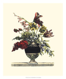Flowers for June I Posters by Giovanni Baptiste