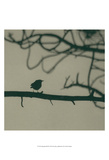 Caligraphy Bird II Prints by Elena Ray