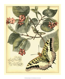 Whimsical Butterflies I Print
