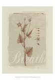 Botanical Respite II Affiches par Ken Hurd
