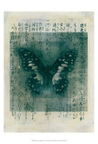 Butterfly Calligraphy I Poster by Elena Ray