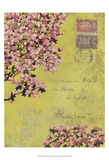 Postage VIII Posters by Rick Novak
