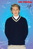 One Direction-Niall Pop Print