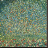 Apple Tree I, c.1912 Reproduction transférée sur toile par Gustav Klimt