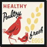 Healthy Poultry - œufs frais Reproduction transférée sur toile