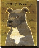 Gray Pit Bull Leinwand von John Golden