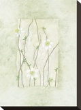 Entwined Grace Stretched Canvas Print by Dominique Gaudin