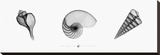 X-Ray Nautilus Triptych Stretched Canvas Print by Bert Meyers