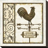 Weathervane Wisdom II Stretched Canvas Print by Daphne Brissonnet