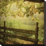 Autumn Overture Stretched Canvas Print by Dawne Polis