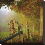 Farm Fence Stretched Canvas Print by Dawne Polis