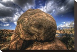 Lump Stretched Canvas Print by Bob Larson