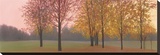 Autumn Dawn, Maples Stretched Canvas Print by Elissa Gore