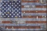 Land of the Free Stretched Canvas Print