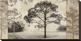 At Dawn III Stretched Canvas Print by Pela & Silverman 