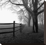 Corner Fence Stretched Canvas Print by Harold Silverman