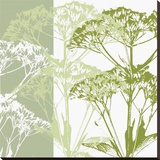 Delicate Greens Stretched Canvas Print by Erin Clark