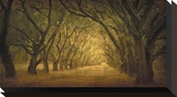 Evergreen, New Alley, Right Side Reproduction transférée sur toile par William Guion