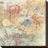 Floral Frenzy Coastal III Stretched Canvas Print by Alan Hopfensperger