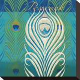 Peacock Bath IX Stretched Canvas Print by Alan Hopfensperger