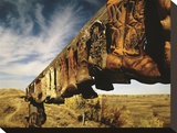 Boots Stretched Canvas Print by Derek Jecxz