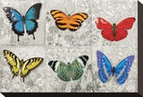 Butterfly Mural Stretched Canvas Print by Alan Hopfensperger