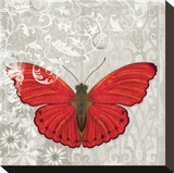 Red Butterfly Stretched Canvas Print by Alan Hopfensperger