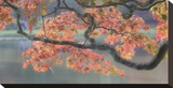 Acer III, Maple and Lake Stretched Canvas Print by Chris Farrow