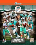 Miami Dolphins 2012 Team Composite Photo