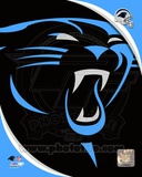 Carolina Panthers 2012 Team Logo Photo