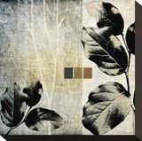 Leaves and Stems on Texture II Stretched Canvas Print by Catherine Kohnke