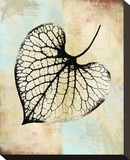 Choc Spice Skel Leaf I Stretched Canvas Print by Catherine Kohnke