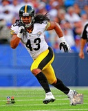 Troy Polamalu 2012 Action Photo
