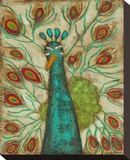 Spirited Peacock II Stretched Canvas Print by Anne Hempel