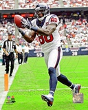 Andre Johnson 2012 Action Photo