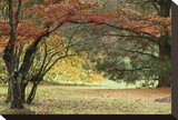 Shef Park Leinwand von Chris Farrow