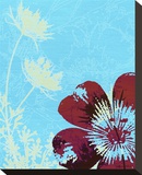 Single Flower and Queen Anne I Stretched Canvas Print by Catherine Kohnke