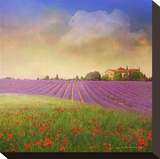Lavender Fields I Leinwand von Chris Vest