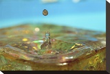 My Precious One Stretched Canvas Print by Connie Publicover