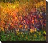 Sonnenblumen Leinwand von Chris Vest