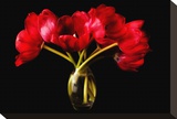 Red Tulips in a Glass Vase Stretched Canvas Print by Christine Zalewski