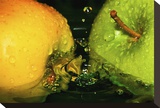 Green Apple Mist Stretched Canvas Print by Connie Publicover