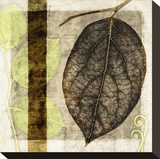 Fall Leaves and Pier I Stretched Canvas Print by Christine Zalewski