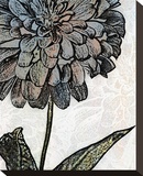 Ink Zinnia I Stretched Canvas Print by Christine Zalewski