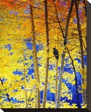 Autumn Raven Stretched Canvas Print by Chris Vest