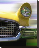 Thunderbird Stretched Canvas Print by Richard James